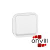 Legrand 069616L, Plexo 55 váltóérintkezős nyomó jelzőfénnyel 10A, fehér